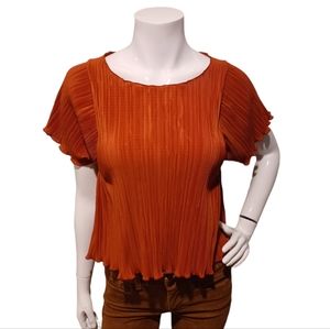 MADEWELL Micropleated Rusty Torch Blouse
